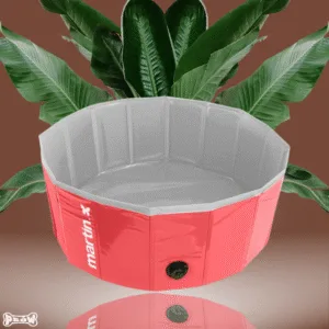 basen dla psa rekomendacje