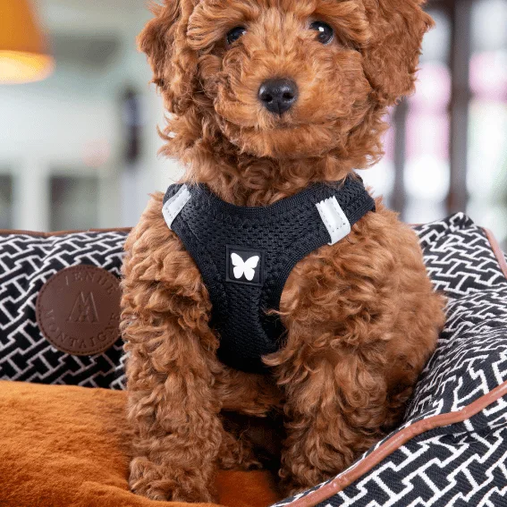 legowisko dla psa montaigne 6