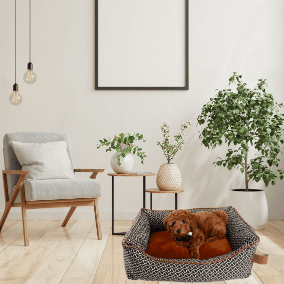 legowisko dla psa montaigne 4