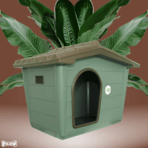 buda dla psa recomendacje