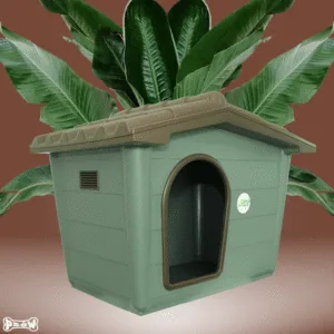 buda dla psa recomendacje