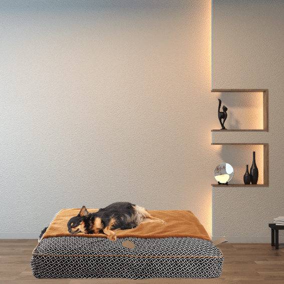 materac dla psa avenue montaigne 6