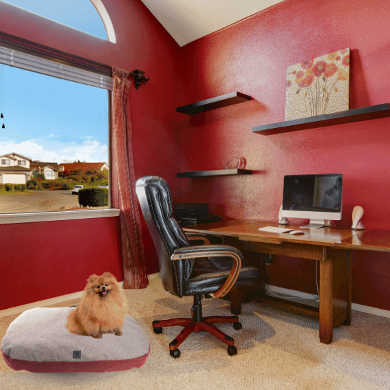 poduszka dwustronna dla psa szara i czerwona 4