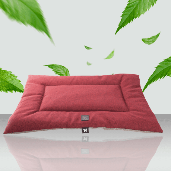 mata płaska dla psa szara i czerwona 2