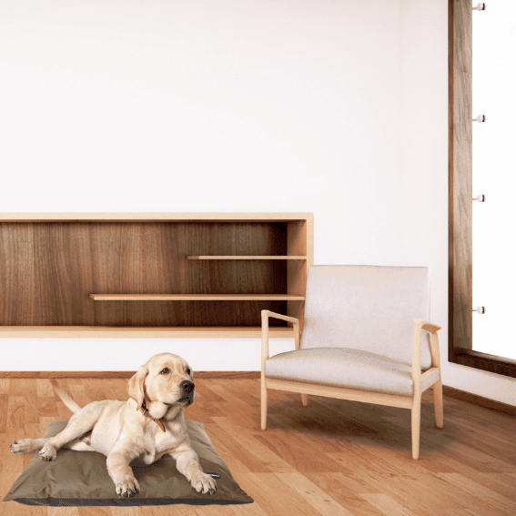 poduszka wodooporna dla psa 7