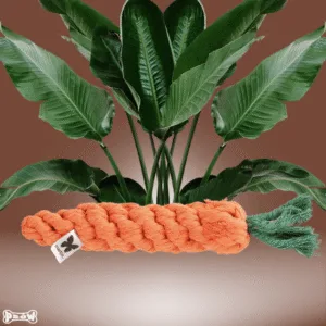 zabawki dla psa rekomendacje