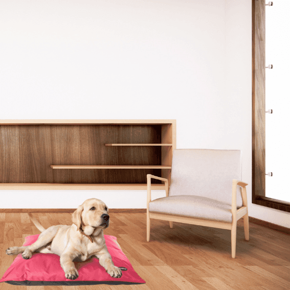 poduszka wodooporna dla psa 11