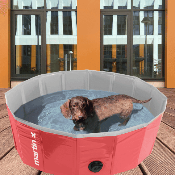 basen dla psa martin pool składany czerwony 3