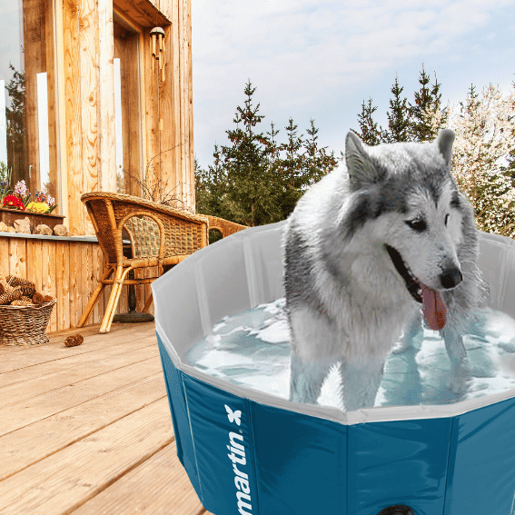 basen dla psa martin pool składany niebieski 3