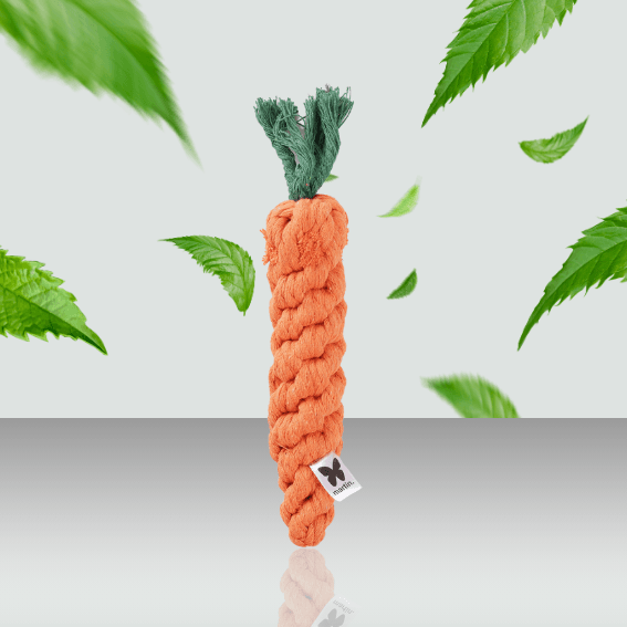 zabawka dla psa machewka