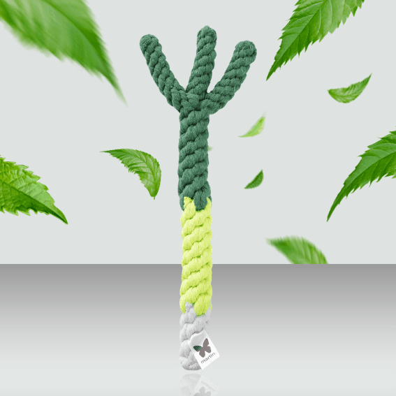 zabawka dla psa por 2