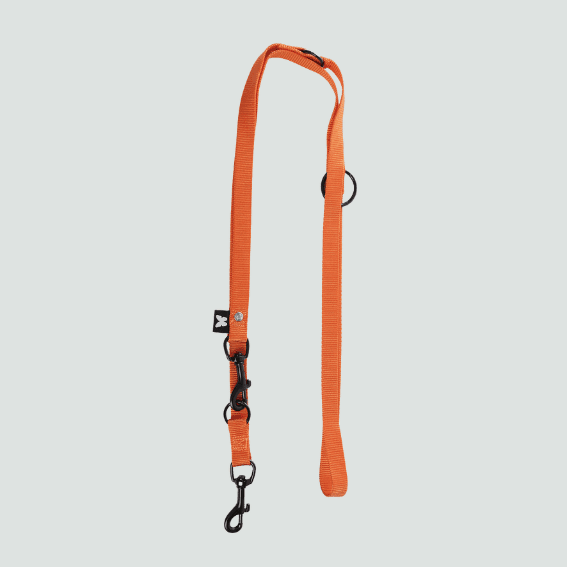 Smycz szkoleniowa nylonowa 3-stopniowa dla psa pomaranczowy