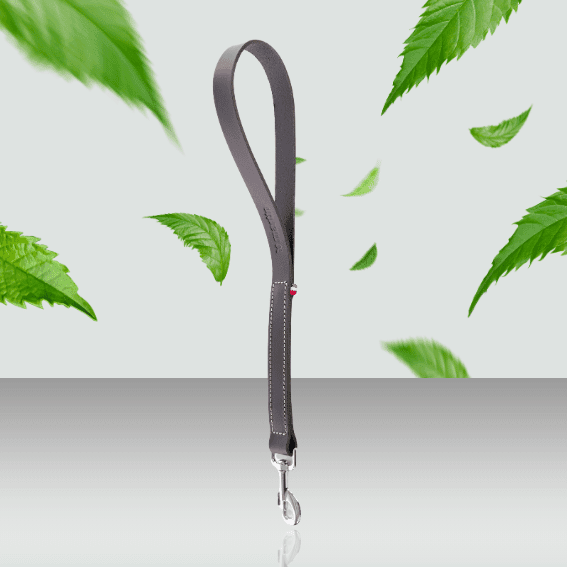 Krótka smycz dla psa ze skóry pełnoziarnistej model 499 czarna 2