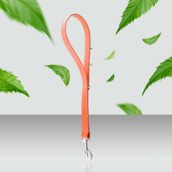 Krótka smycz dla psa ze skóry pełnoziarnistej model 499 pomaranczowy 2