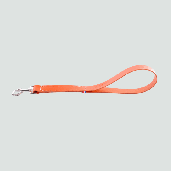 Krótka smycz dla psa ze skóry pełnoziarnistej model 499 pomaranczowy 3