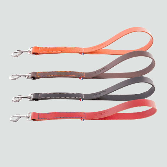 Krótka smycz dla psa ze skóry pełnoziarnistej model 499 4 kolory