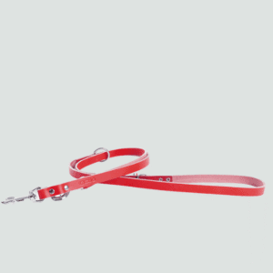 smycz dla psa ze skóry pełnoziarnistej wielopozycyjna czerwona