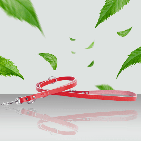 smycz dla psa ze skóry pełnoziarnistej wielopozycyjna czerwona 2