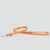 smycz dla psa ze skóry pełnoziarnistej wielopozycyjna pomaranczowa