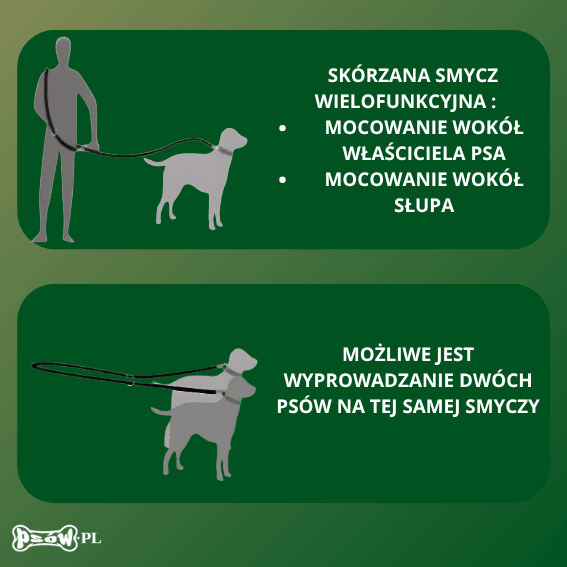 przewodnik smycz dla psa ze skóry pełnoziarnistej wielopozycyjna