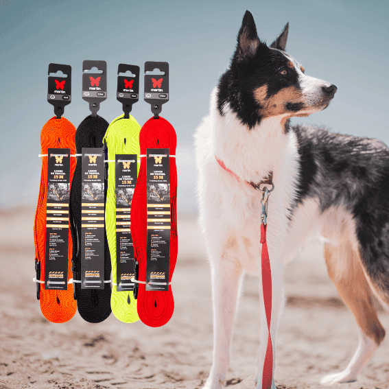 smycz treningowa dla psa z nylonu 4 kolory
