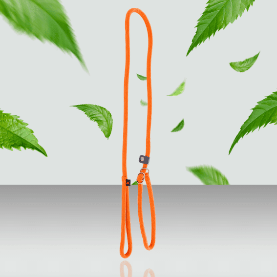 Smycz linowa z nylonu dla psa z obrożą szkoleniową pomarańczowa 2