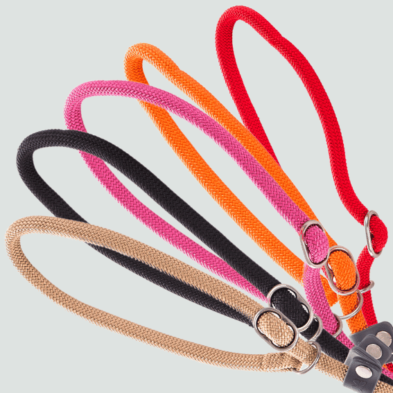 tabela rozmiarow Smycz linowa z nylonu dla psa z obrożą szkoleniową 4 kolory