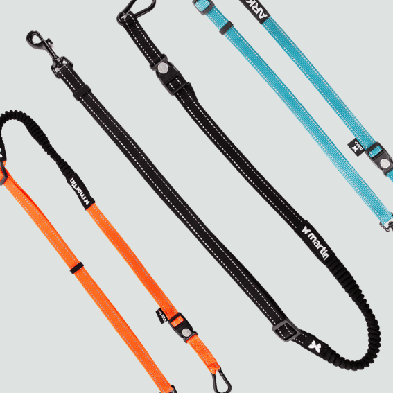 Linka do canicrossu dla psa 3 kolory