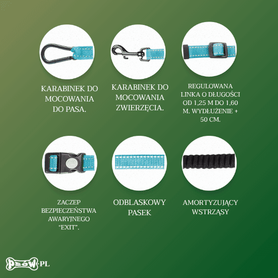 opis Linka do canicrossu dla psa