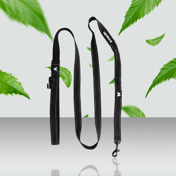 Smycz outdoorowa 2 w 1 dla psa czarna 2