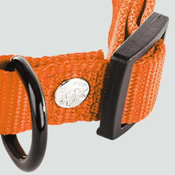 Obroża z nylonu dla psa regulowana pomaranczowa 3