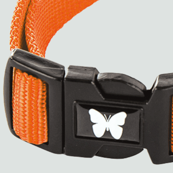 Obroża z nylonu dla psa regulowana pomaranczowa 4