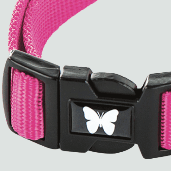 Obroża z nylonu dla psa regulowana rozowa 4