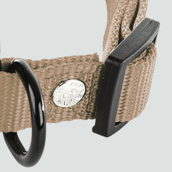 Obroża z nylonu dla psa regulowana bezowa 3