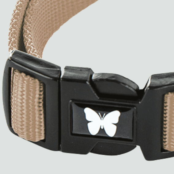 Obroża z nylonu dla psa regulowana bezowa 4