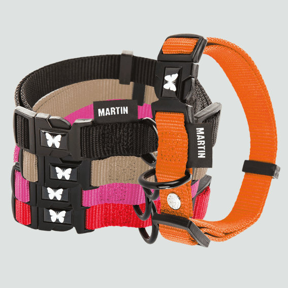 Obroża z nylonu dla psa regulowana 5 kolory