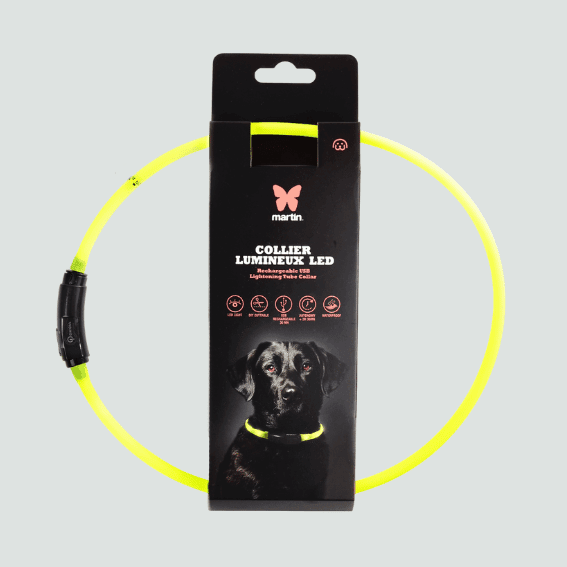 Obroża świetlna dla psa rurka USB żółta