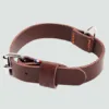 Skórzana obroża dla psa model 499 brazowa