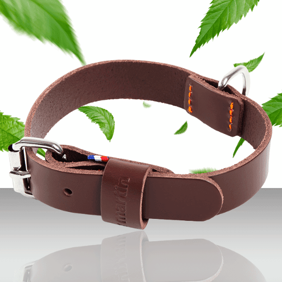 Skórzana obroża dla psa model 499 brazowa 2