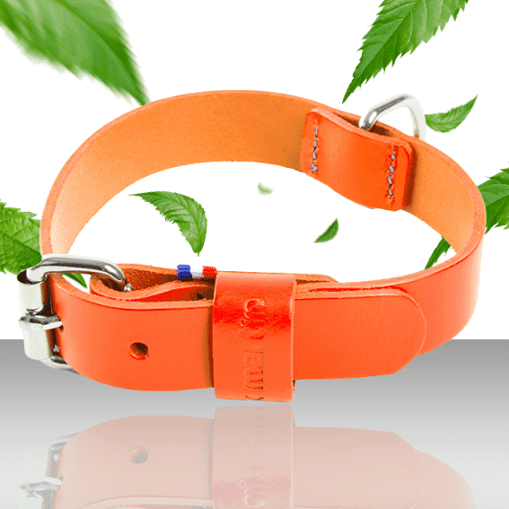 Skórzana obroża dla psa model 499 pomaranczowa 2