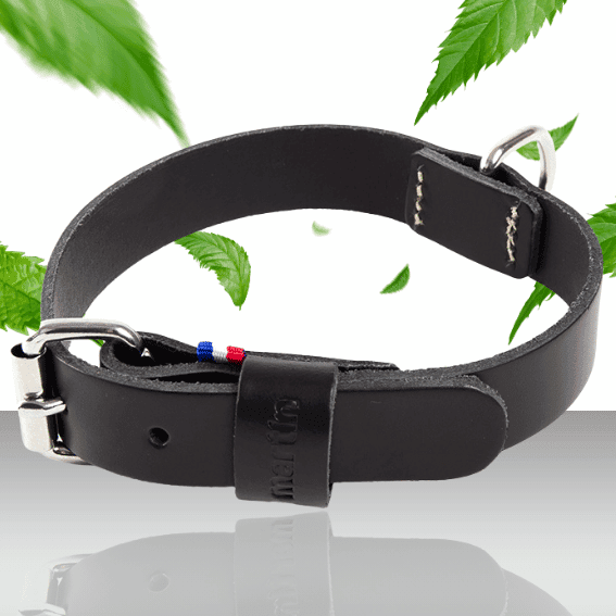 Skórzana obroża dla psa model 499 czarna 2