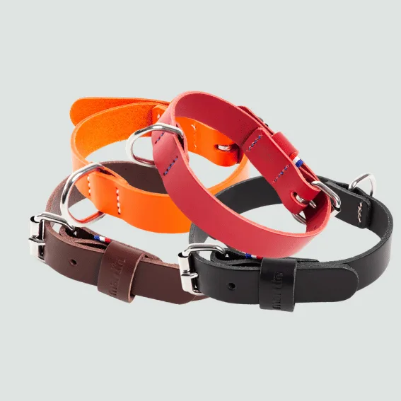 Skórzana obroża dla psa model 499 4 kolory