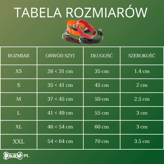 tabela rozmiarow Skórzana obroża dla psa model 499