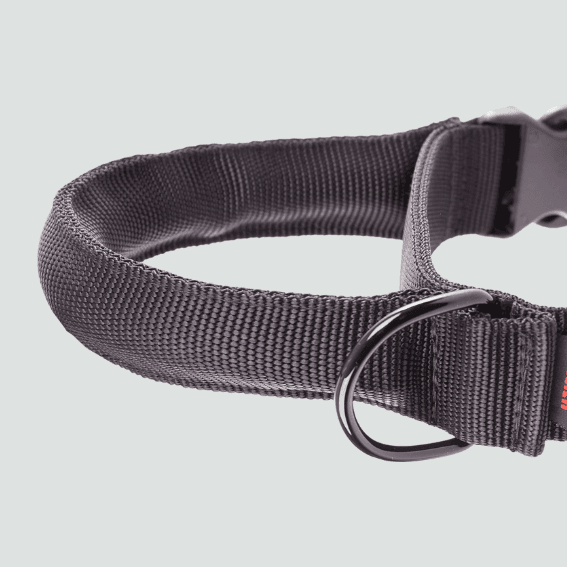 Obroża taktyczna dla psa regulowana czarna 3