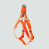 Szelki step in dla psa – nylon – pomarańczowe