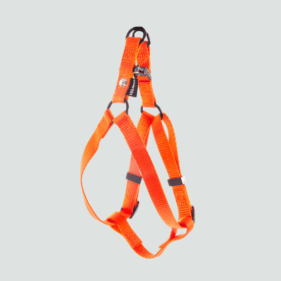 Szelki step in dla psa nylon pomaranczowe