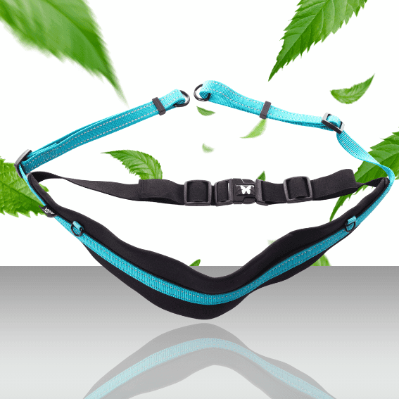 Pas do biegania z psem RUNNING regulowany odblaskowy niebieski 2