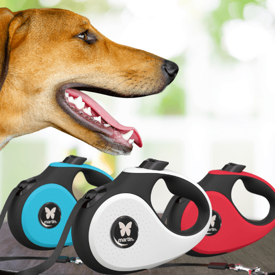 Automatyczna smycz z taśmą dla psa 2Soft wyciągana 3 kolory 2 Automatyczna smycz z taśmą dla psa 2Soft wyciągana 3 kolory 2