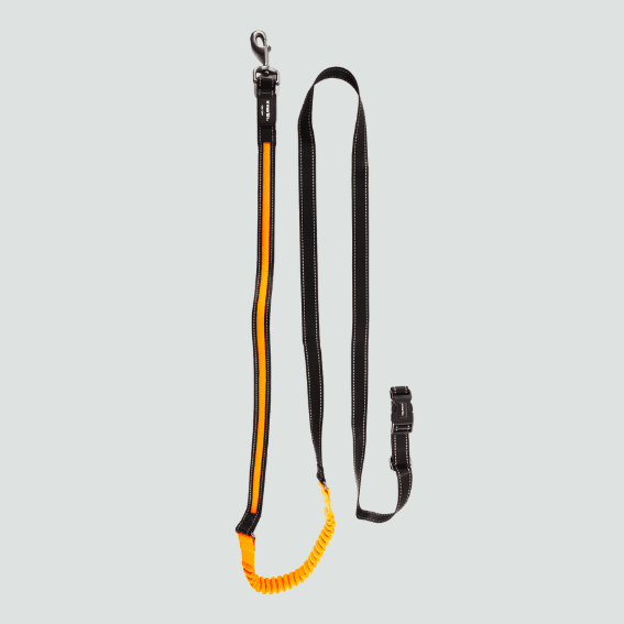 Świecąca smycz z nylonu rozszerzalna USB