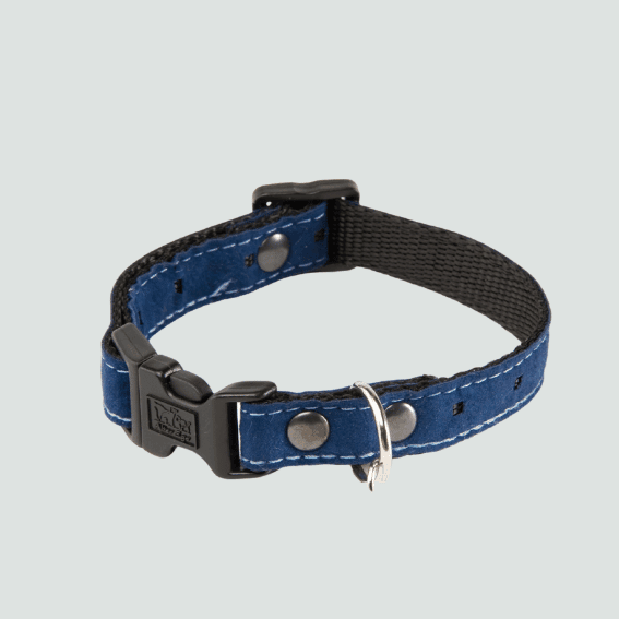 Obroża z nylonu dla psa 5th Avenue niebieska